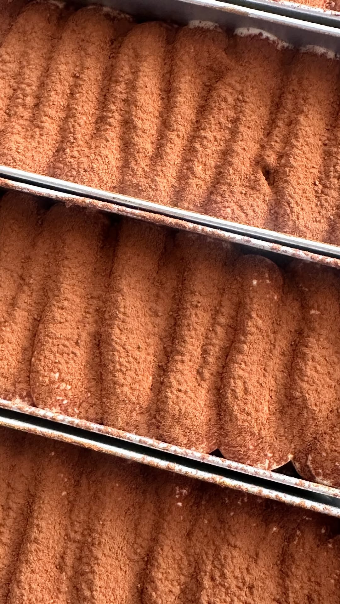 Tiramisu tiffin box